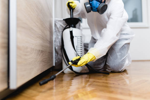 Best Best Pest Control Companies  in Window Rock, AZ