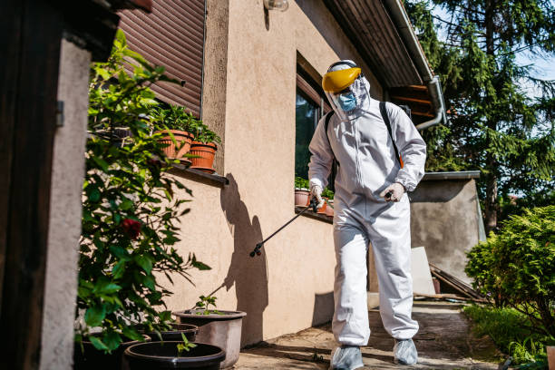 Pest Control for Restaurants in Window Rock, AZ