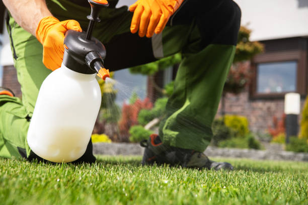 Best Pest Prevention Services  in Window Rock, AZ
