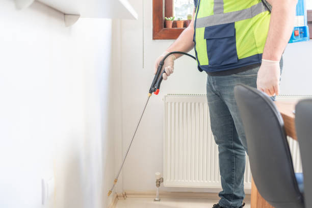 Best Affordable Pest Control Services  in Window Rock, AZ